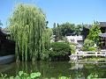 Portland 17